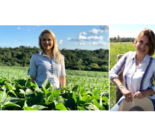 mulheres do agro