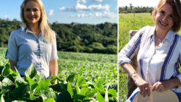 mulheres do agro