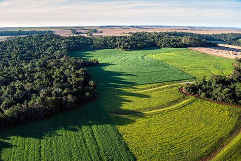 pagamento por serviços ambientais, compensação de Reserva Legal, preservação ambiental, dinheiro, renda, fazenda, passivo ambiental, ativo