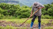 Agrarian law