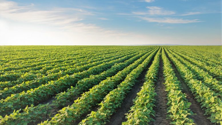 direito agrário no Brasil