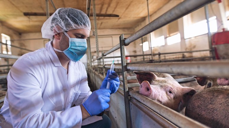 Animal Health Industry